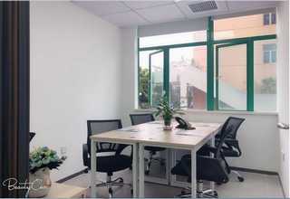 山东梨水果瑕疵分级筛选机销售厂