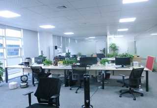 西藏接地铜绞线大概费用